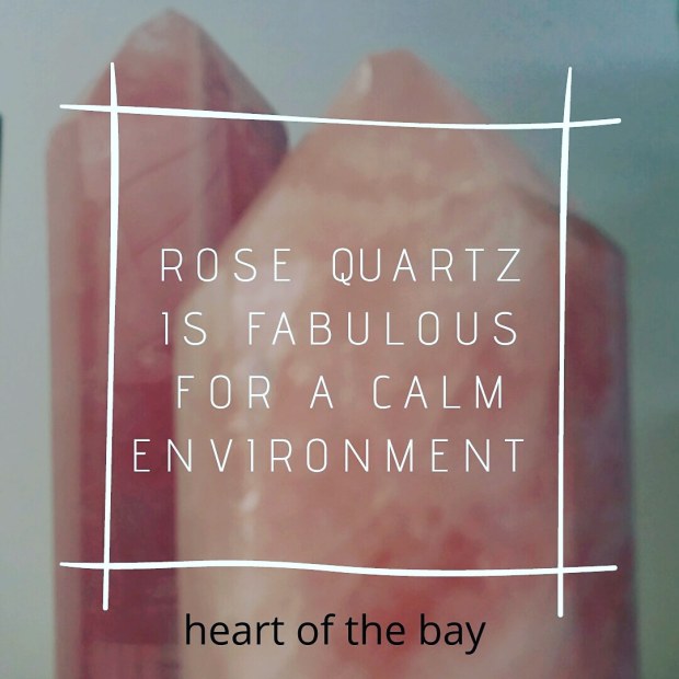 IMG_20181128_100137_722