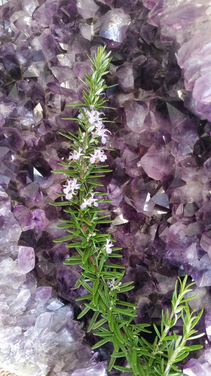 Amethyst Crystal Cluster - Heart of the Bay Byron Bay