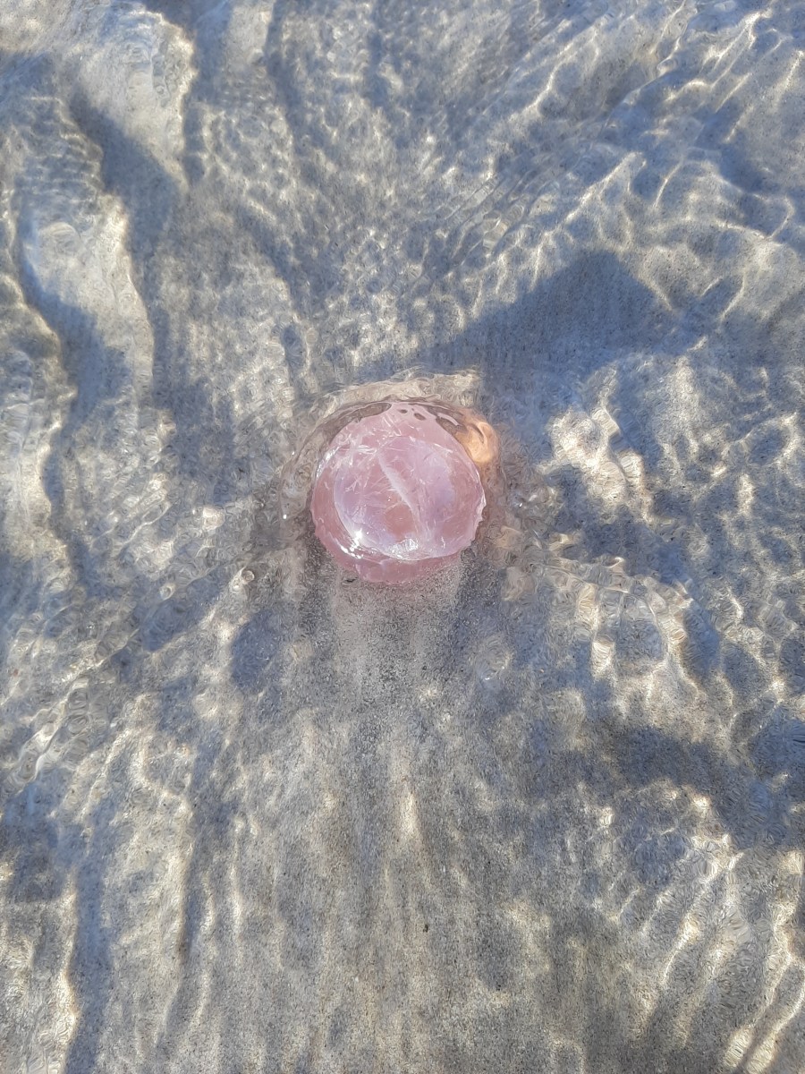 Rose Quartz - Heart of the Bay Crystals Byron Bay