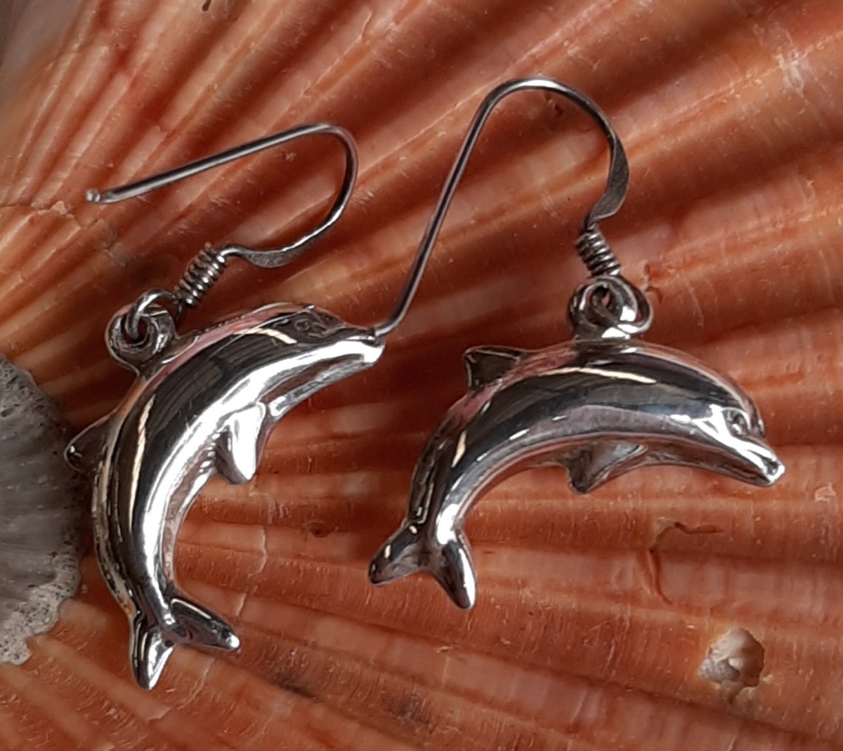 Dolphin earrings Heart of the Bay - Byron Bay Crystals