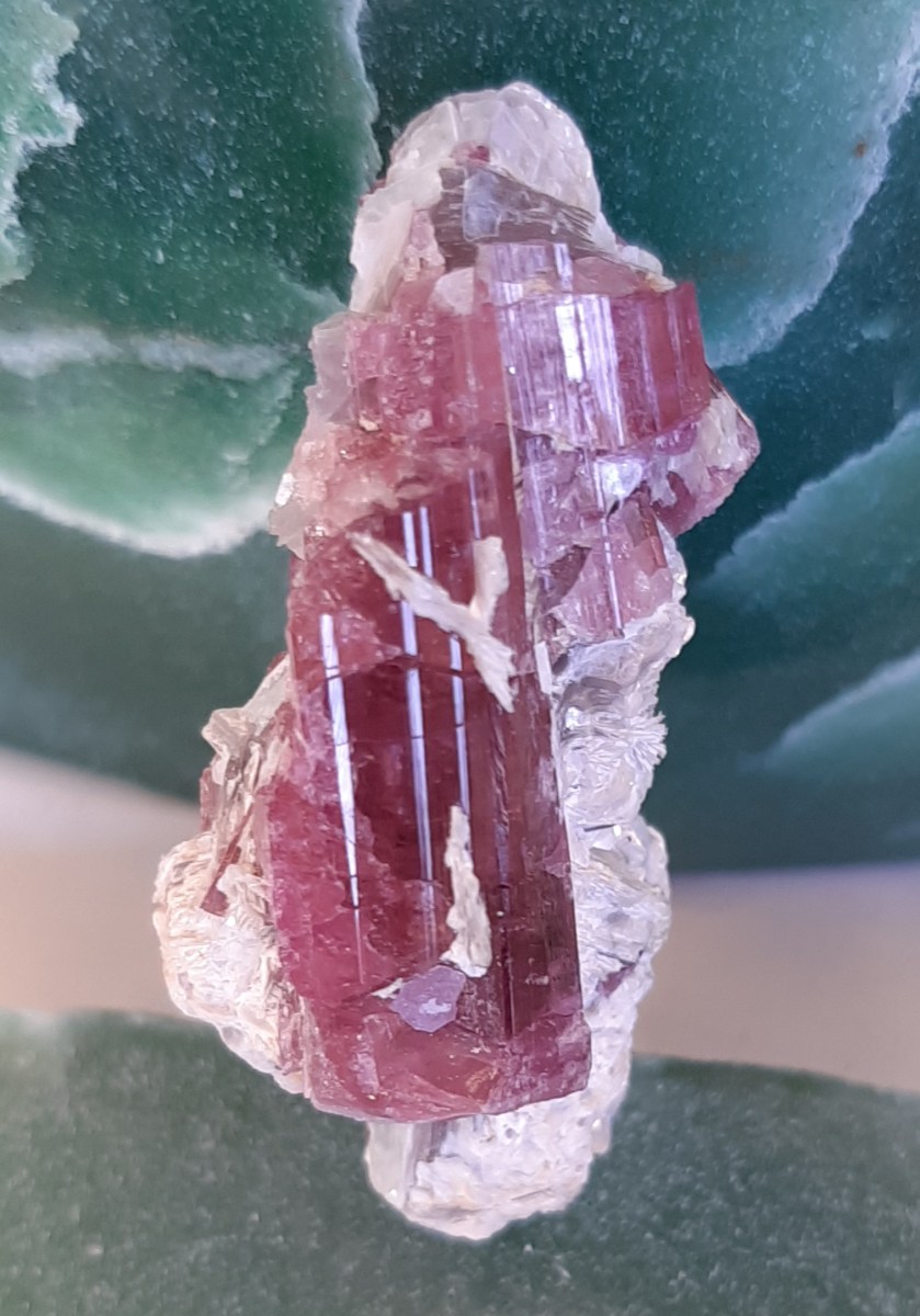 Rubillite Tourmaline - Heart of the Bay Crystals Byron Bay