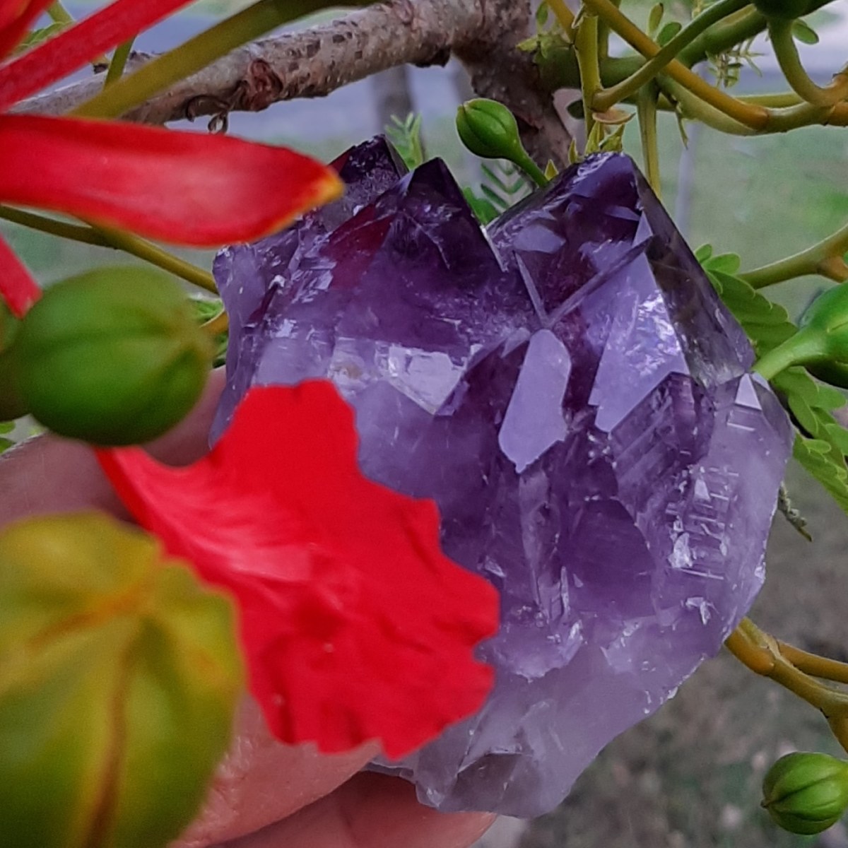 Amethyst cluster The Simple Things - to make your heart sing - Byron Bay Crystals - Heart of the Bay Blog