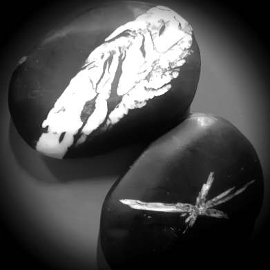 100706621_2860799614046448_7024169732706140160_n