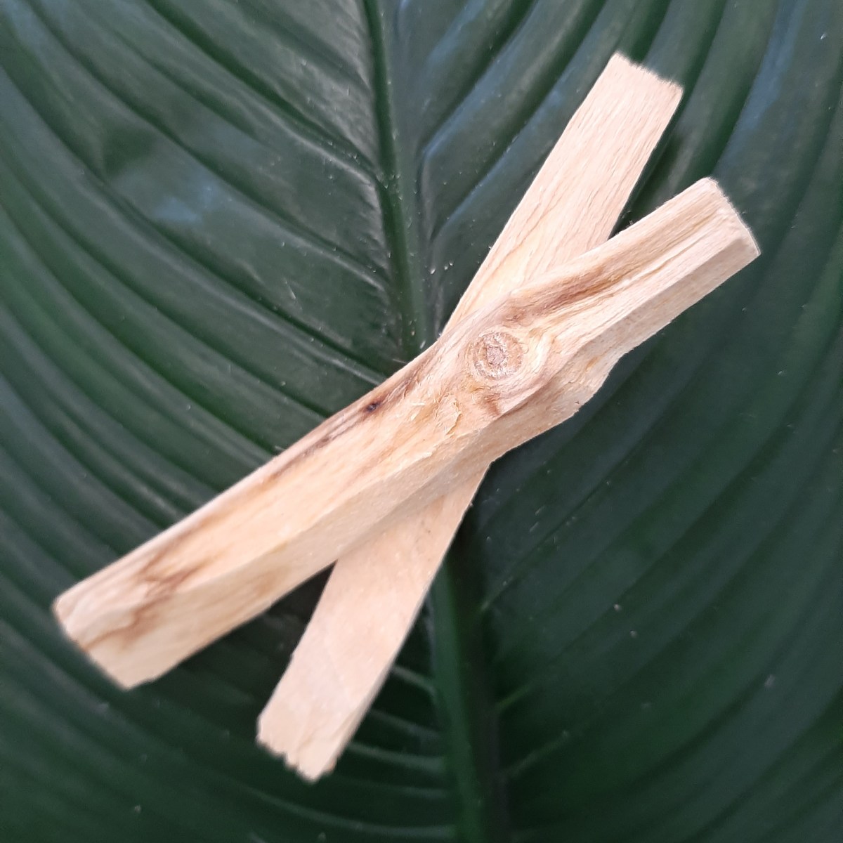 San Palo Selenite incense Smudge Sticks Crystals High Vibes - Heart of the Bay Byron Bay Crystals