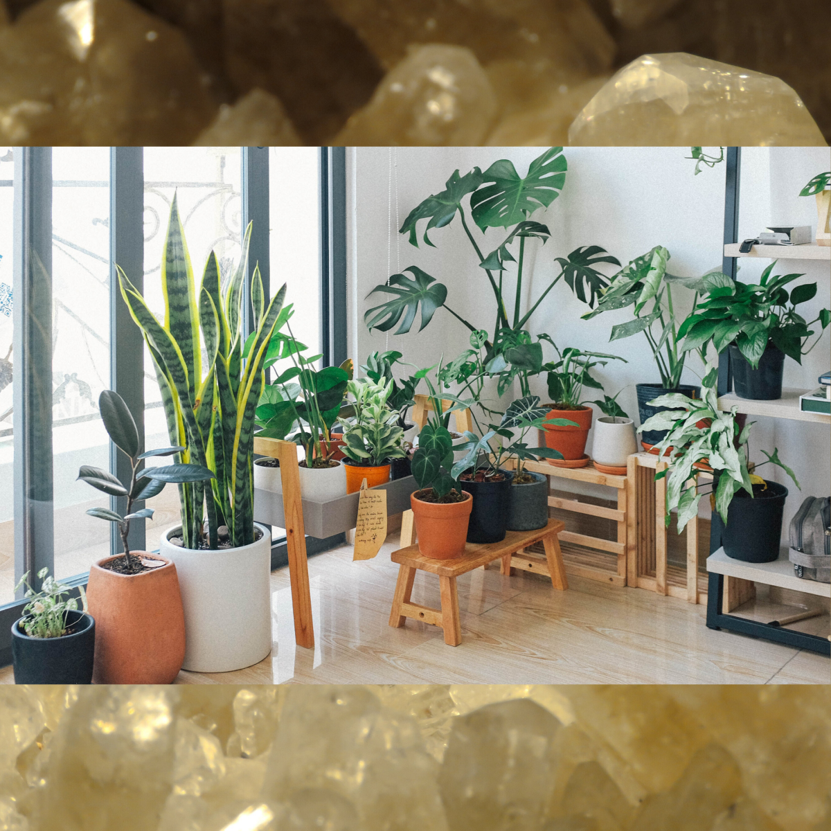 Crystals & plants for prosperity, abundance and holistic wealth. Heart of the Bay Byron Bay Crystals