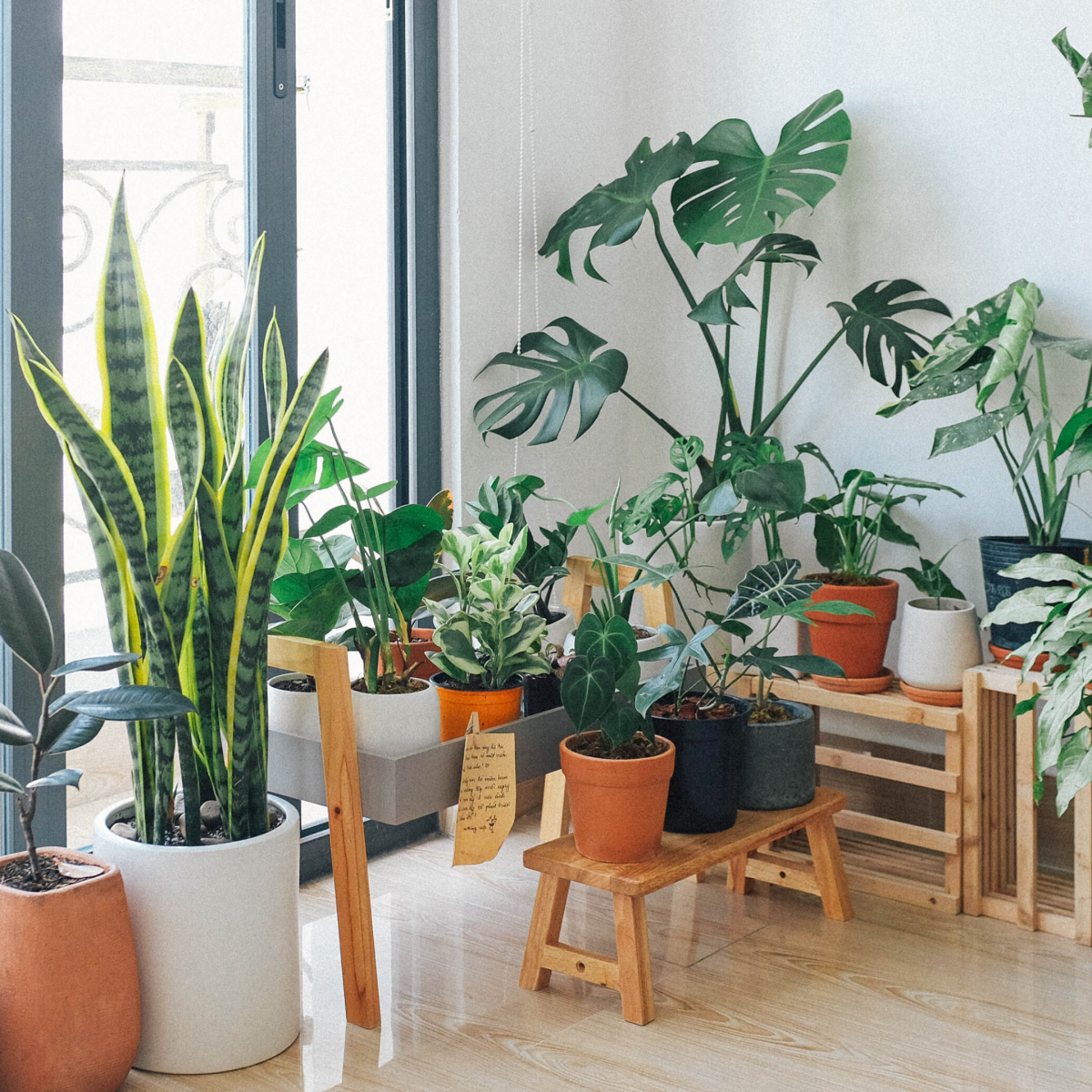 Crystals & plants for prosperity, abundance and holistic wealth. Heart of the Bay Byron Bay Crystals