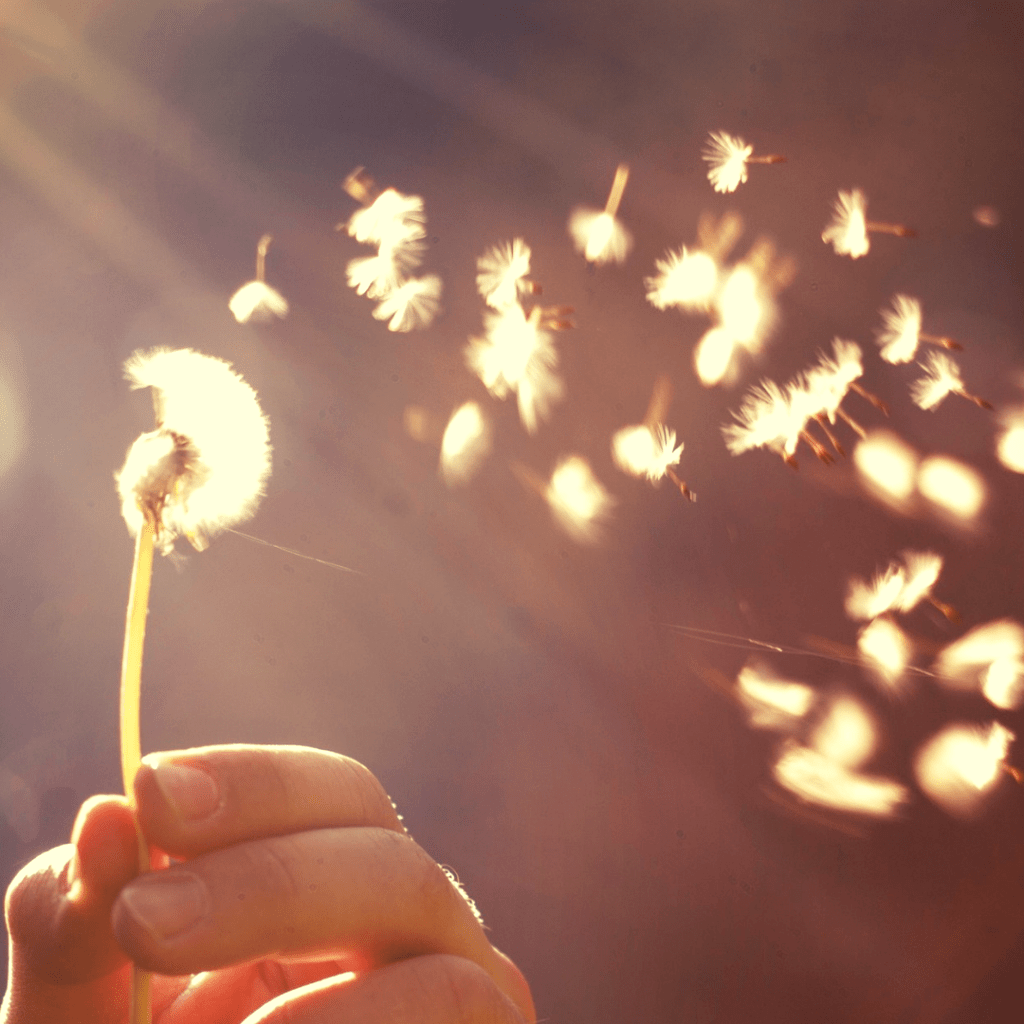 Heart of the Bay - Byron Bay Crystals